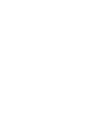 Emily’s
