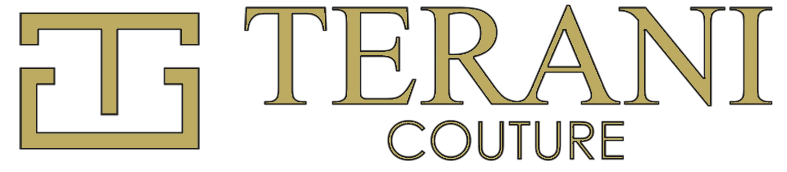 Terani logo